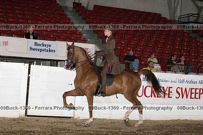 Proof 09buck-1369
