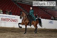09buck-1370 proof