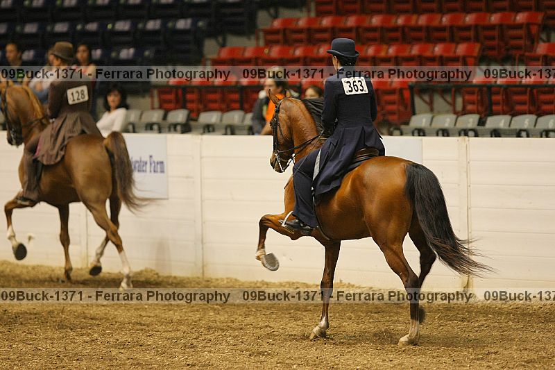 Proof 09buck-1371