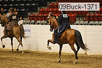09buck-1371 proof