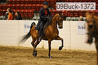 09buck-1372 proof