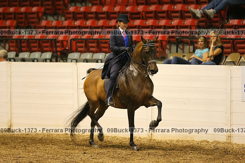 Proof 09buck-1373