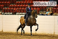 09buck-1373 proof