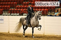 09buck-1374 proof