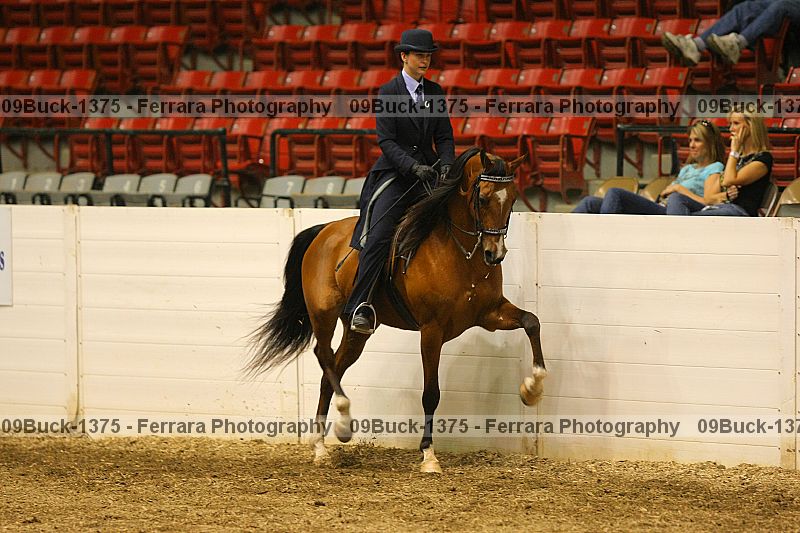 Proof 09buck-1375