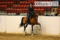 09buck-1375 proof