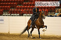09buck-1376 proof
