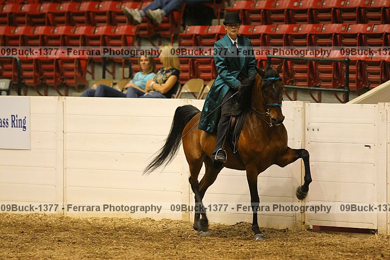 Proof 09buck-1377