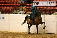 09buck-1377 proof