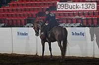 09buck-1378 proof