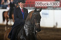 09buck-1380 proof