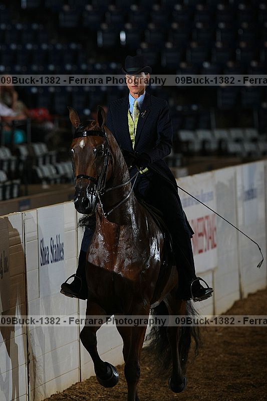 Proof 09buck-1382