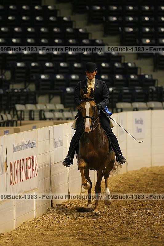 Proof 09buck-1383