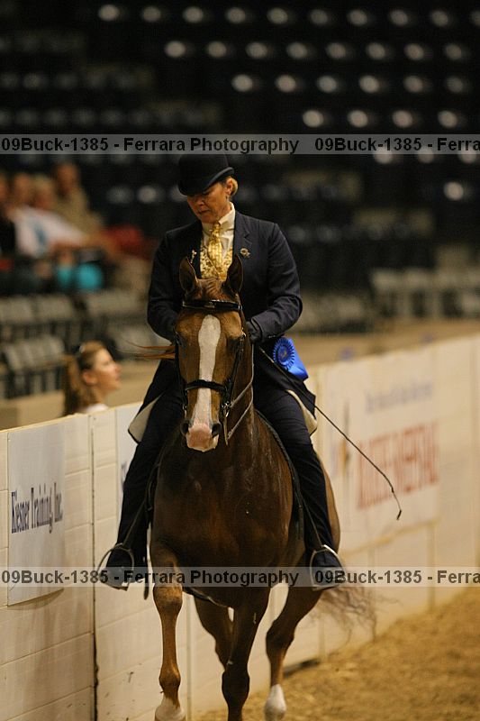 Proof 09buck-1385