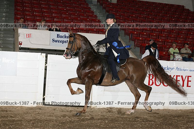 Proof 09buck-1387