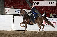 09buck-1387 proof