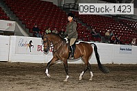 09buck-1423 proof