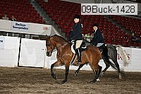 09buck-1428 proof