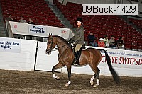 09buck-1429 proof