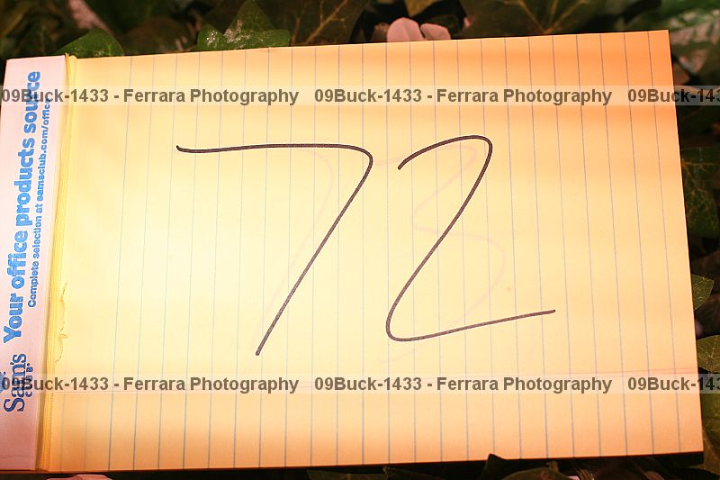 Proof 09buck-1433