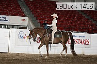 09buck-1436 proof