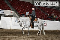 09buck-1443 proof