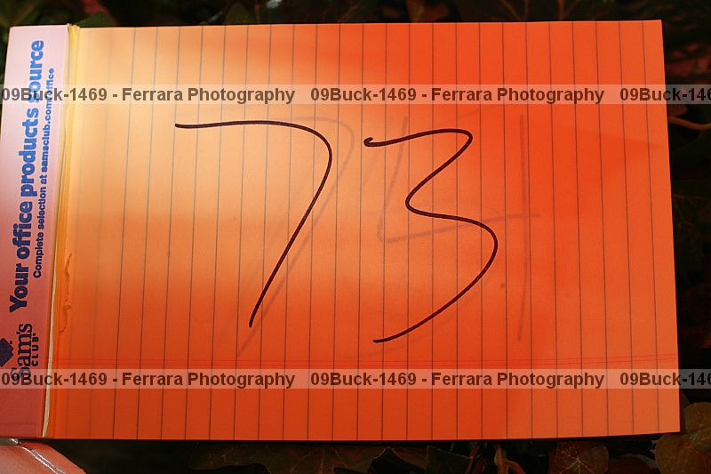 Proof 09buck-1469
