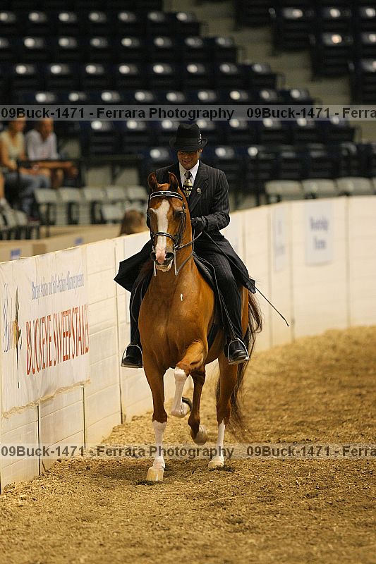 Proof 09buck-1471