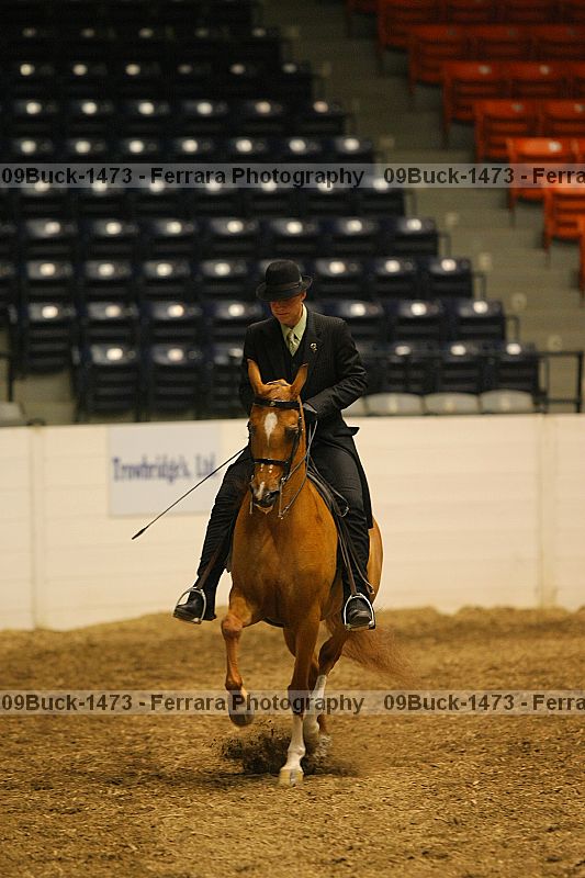 Proof 09buck-1473