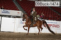 09buck-1474 proof