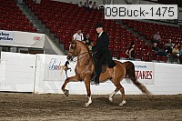 09buck-1475 proof