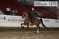09buck-1478 proof