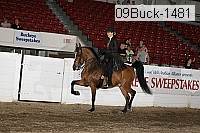 09buck-1481 proof