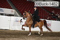 09buck-1482 proof