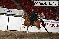 09buck-1484 proof
