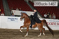 09buck-1487 proof