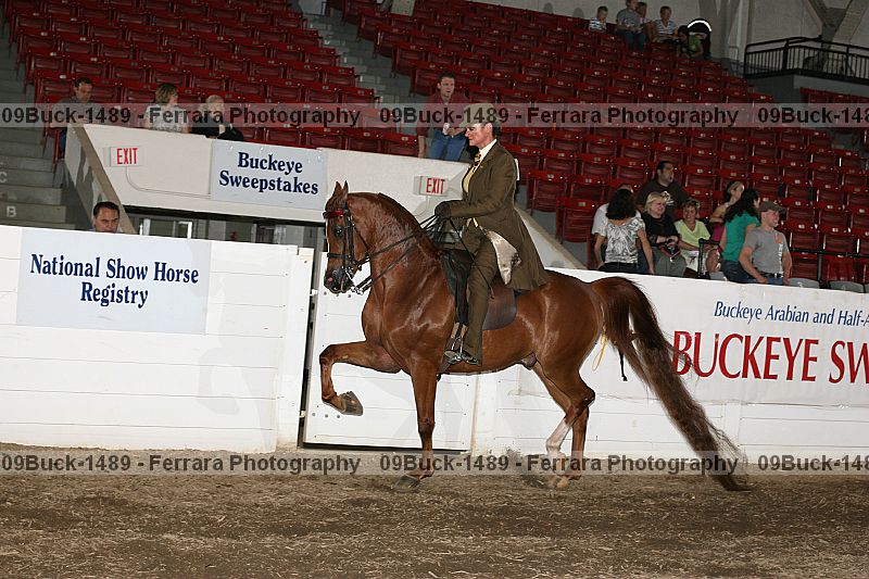 Proof 09buck-1489