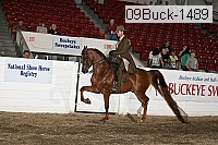 09buck-1489 proof