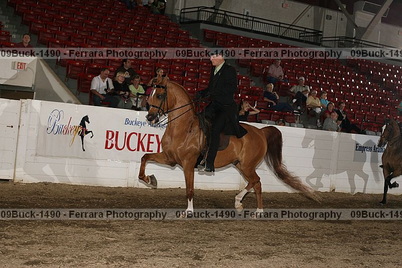Proof 09buck-1490