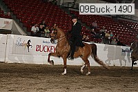 09buck-1490 proof