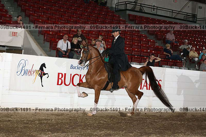Proof 09buck-1491