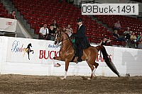 09buck-1491 proof
