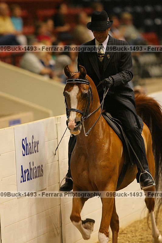 Proof 09buck-1493
