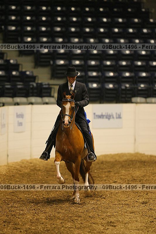 Proof 09buck-1496
