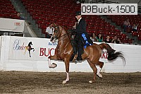 09buck-1500 proof