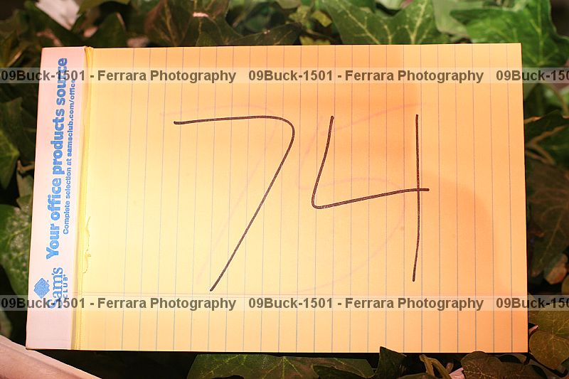 Proof 09buck-1501