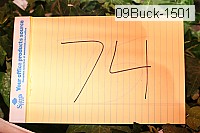 09buck-1501 proof
