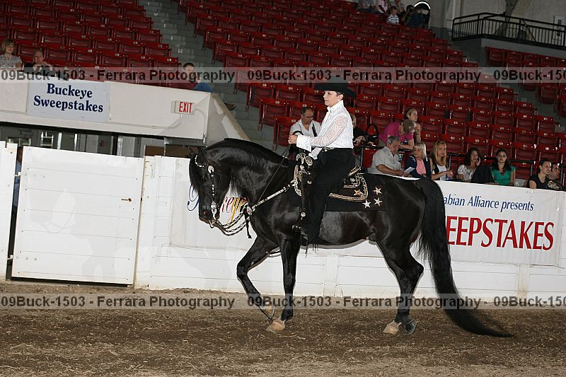Proof 09buck-1503