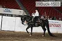 09buck-1503 proof