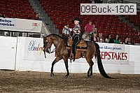 09buck-1505 proof